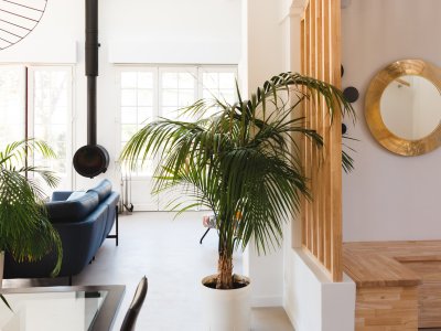 Rénovation d'une villa à Hossegor